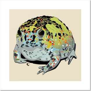 Rain Frog Crucifix Toad Posters and Art